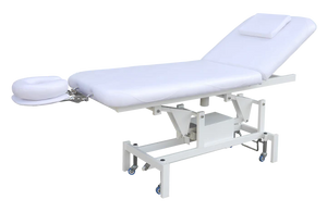 A-LEK Electric Treatment Table With 2 Motorized Height Backrest Model White Only