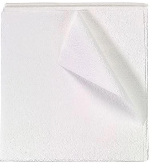 Disposable Drape Sheets 2/Ply Tissue 36