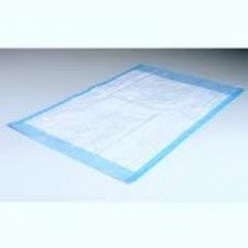 Blue Disposable Underpads 17"x24" 2 ply - 300/case
